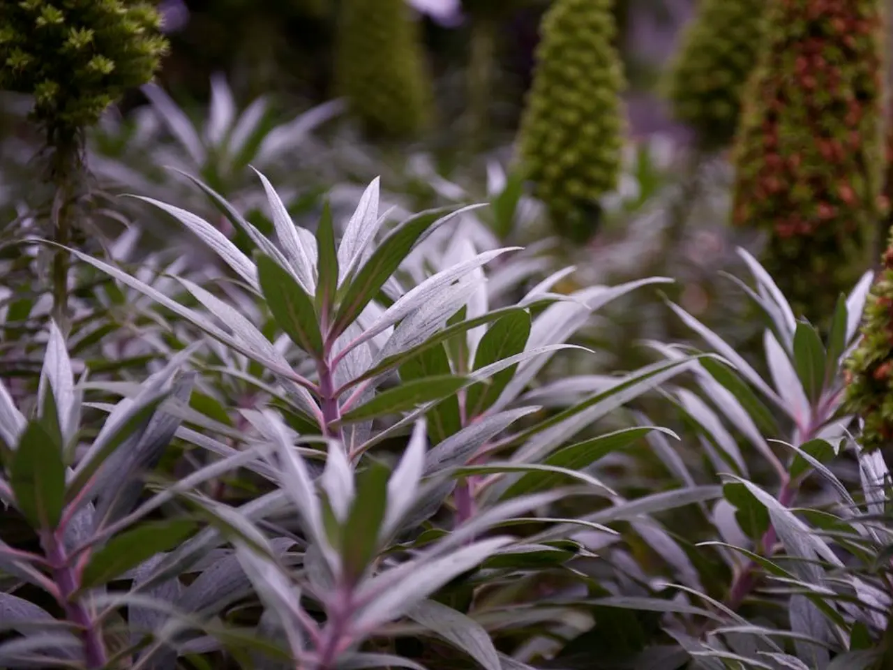 Top-Performing Indoor Greenery Ideal for Low-Light Environments