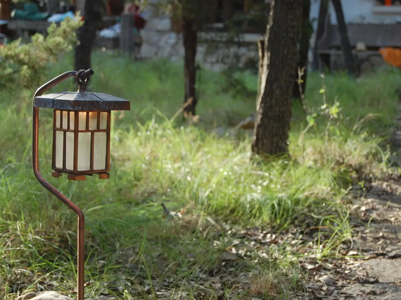 Beating the Heat: Practical Strategies for Protecting Your Garden during a Heatwave