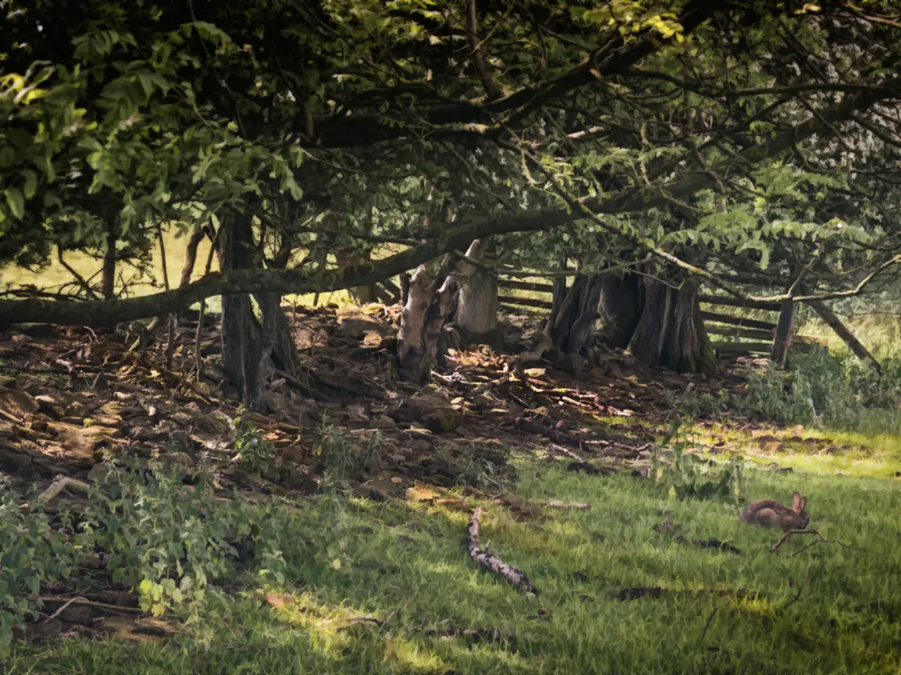 Attend event at Highrove with Alan