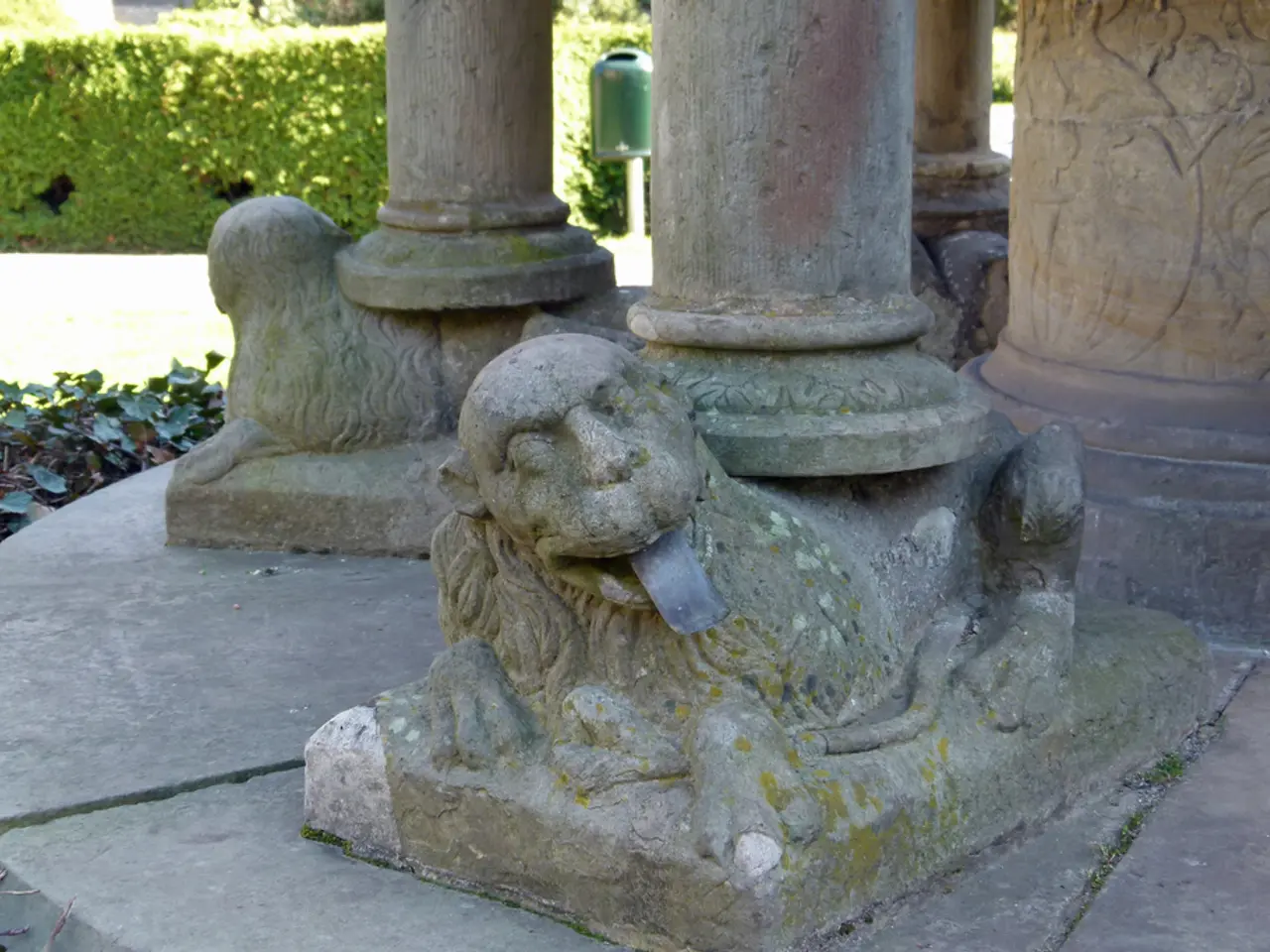 Newborn Lion Cubs Receive Names at Leipzig Zoo