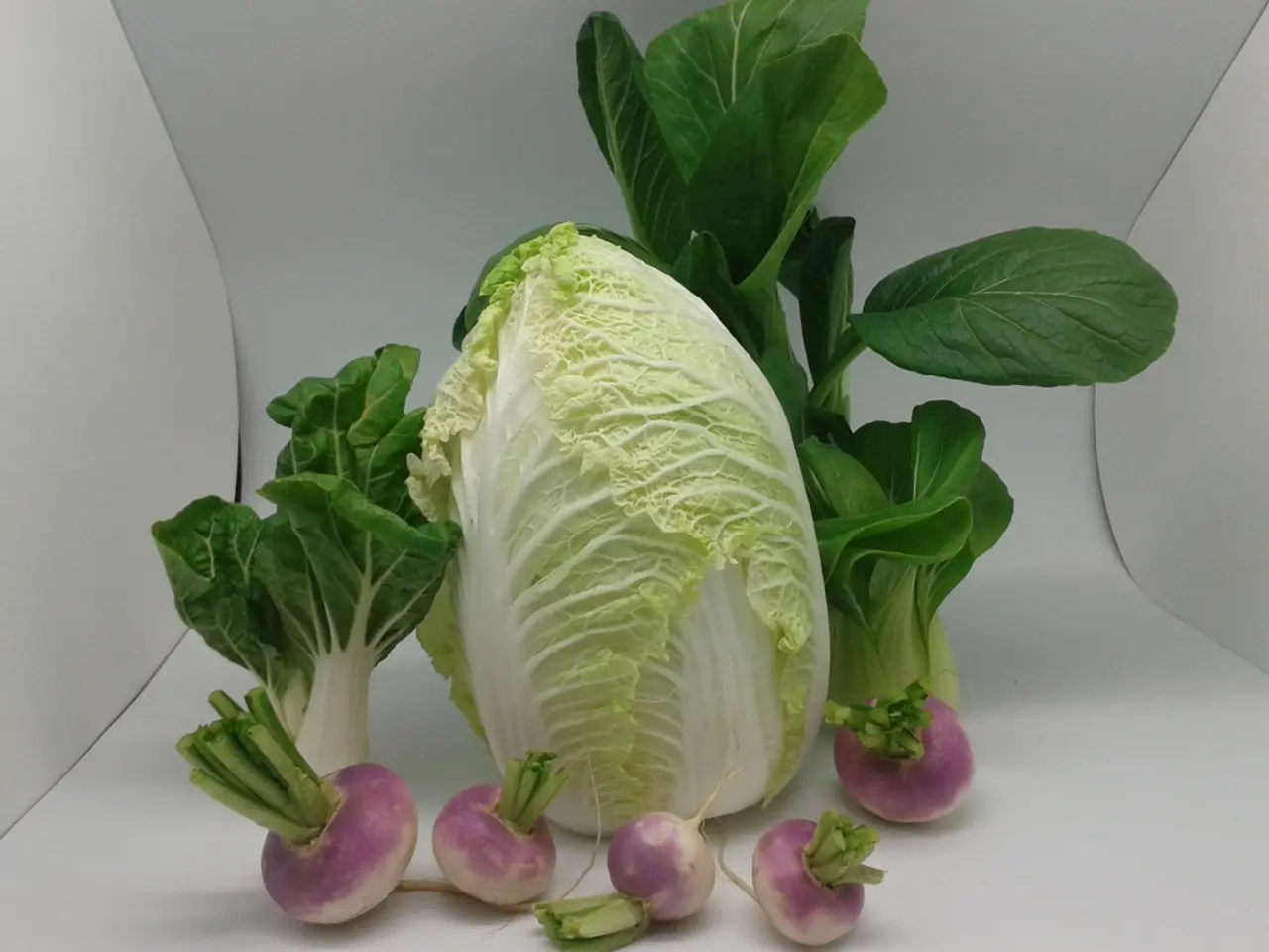 Destructive Infestation in Cole Crops: Strategies for Managing Cabbage Maggots