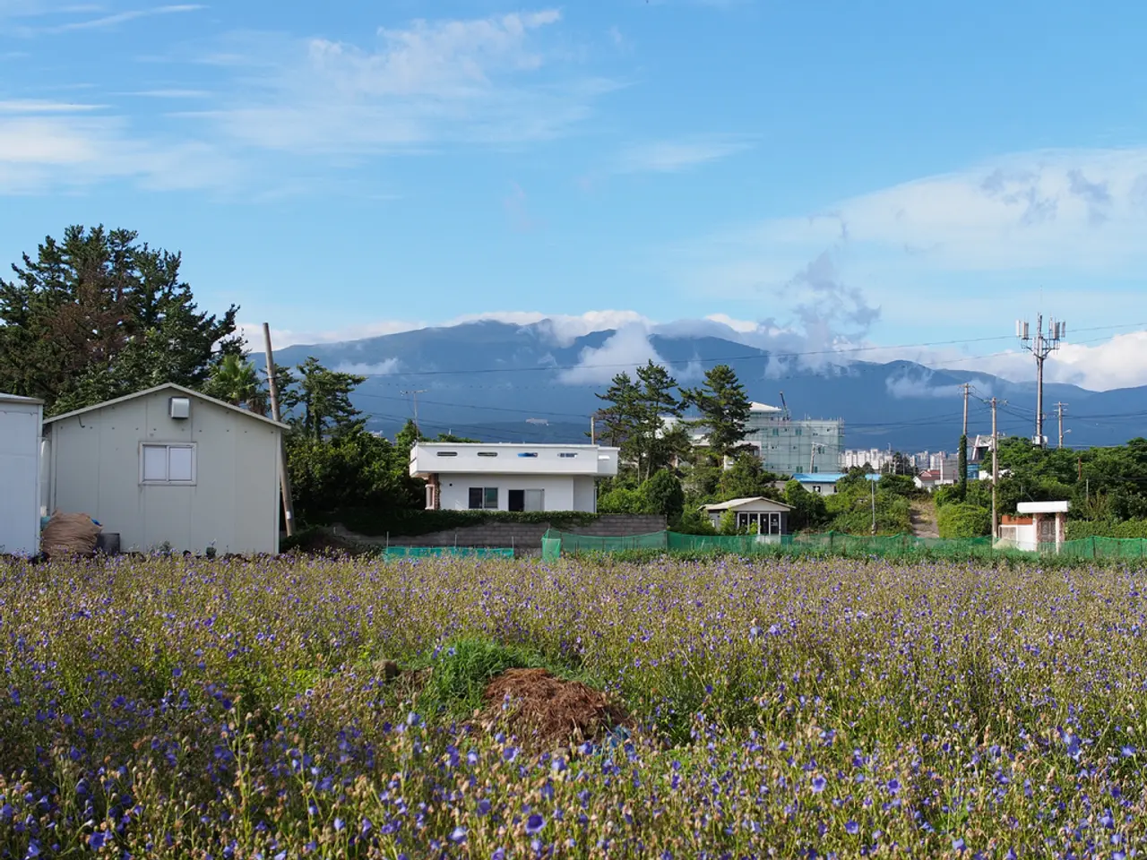 Workers' shield from ionizing radiation risks still awaits Commission's directive approval