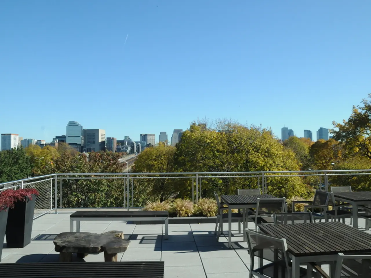 Financial Investment for Transforming an Established Restaurant Setting