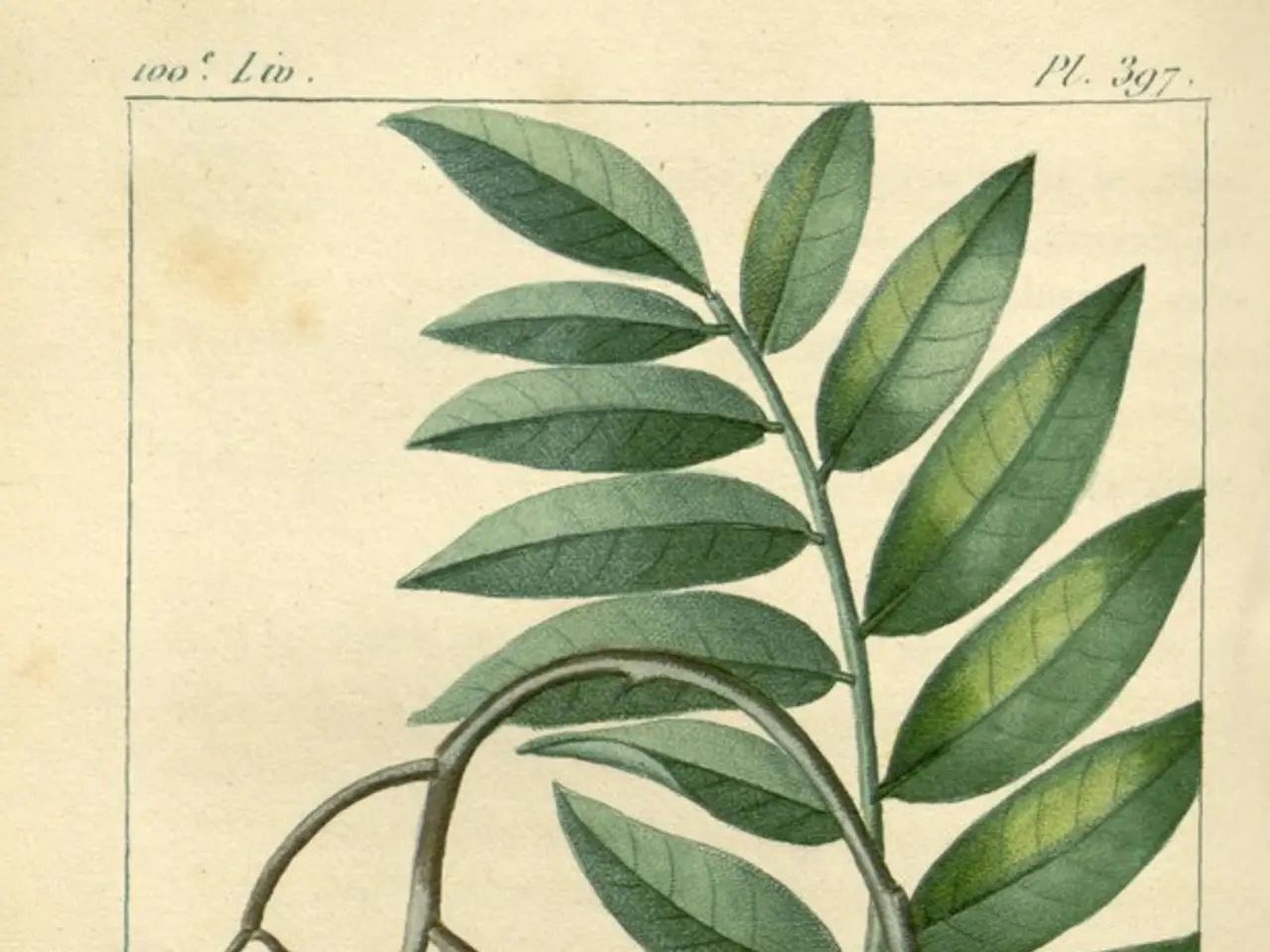 Gold Leaf Imprinting Session (Gold Foil Stamping)