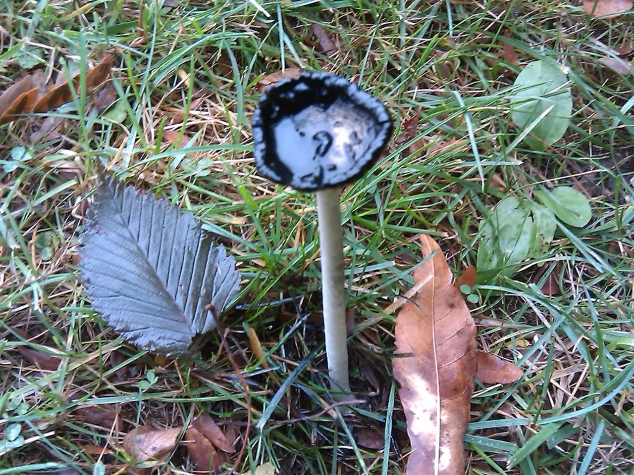 Detailed walkthrough on creating mushroom compost