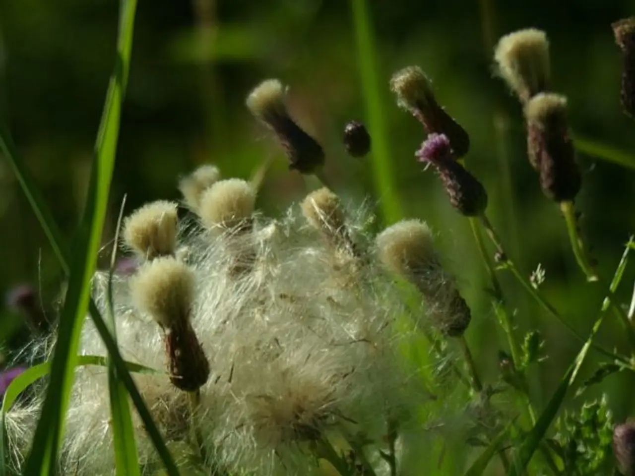 Eliminate Roundworms in Soil: Protect Your Crops, Preserve Your Agriculture