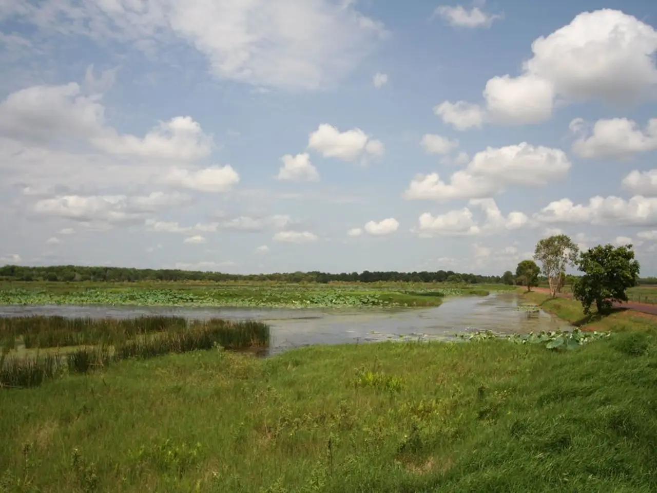 Riverside Area Report: Updates from the Riverside Region