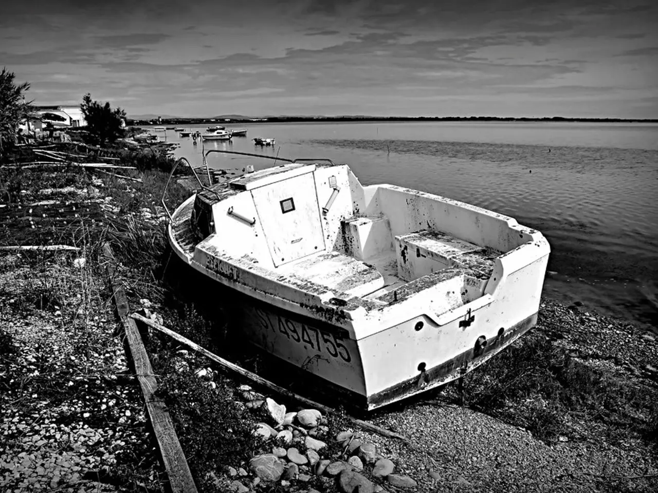 Summertime Scent Suggestions: Embrace the 'Siren' Energy with These Salty, Beachy, Oceanic, and...