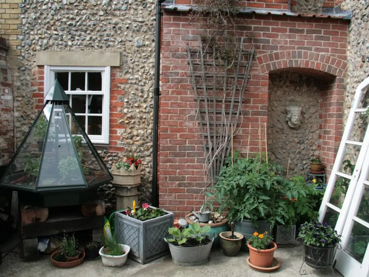 Instructions for Indoor Sowing of Zinnia Seeds