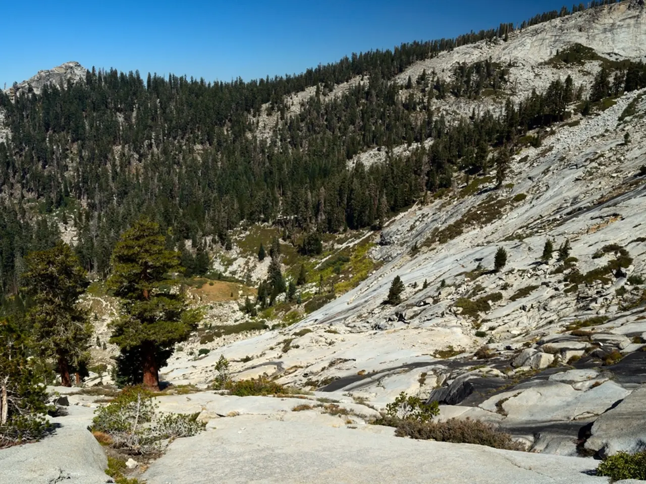 Invigorating Alpine Hiking Trail Unveiled in New Hampshire's White Mountains, Offering Thrilling...