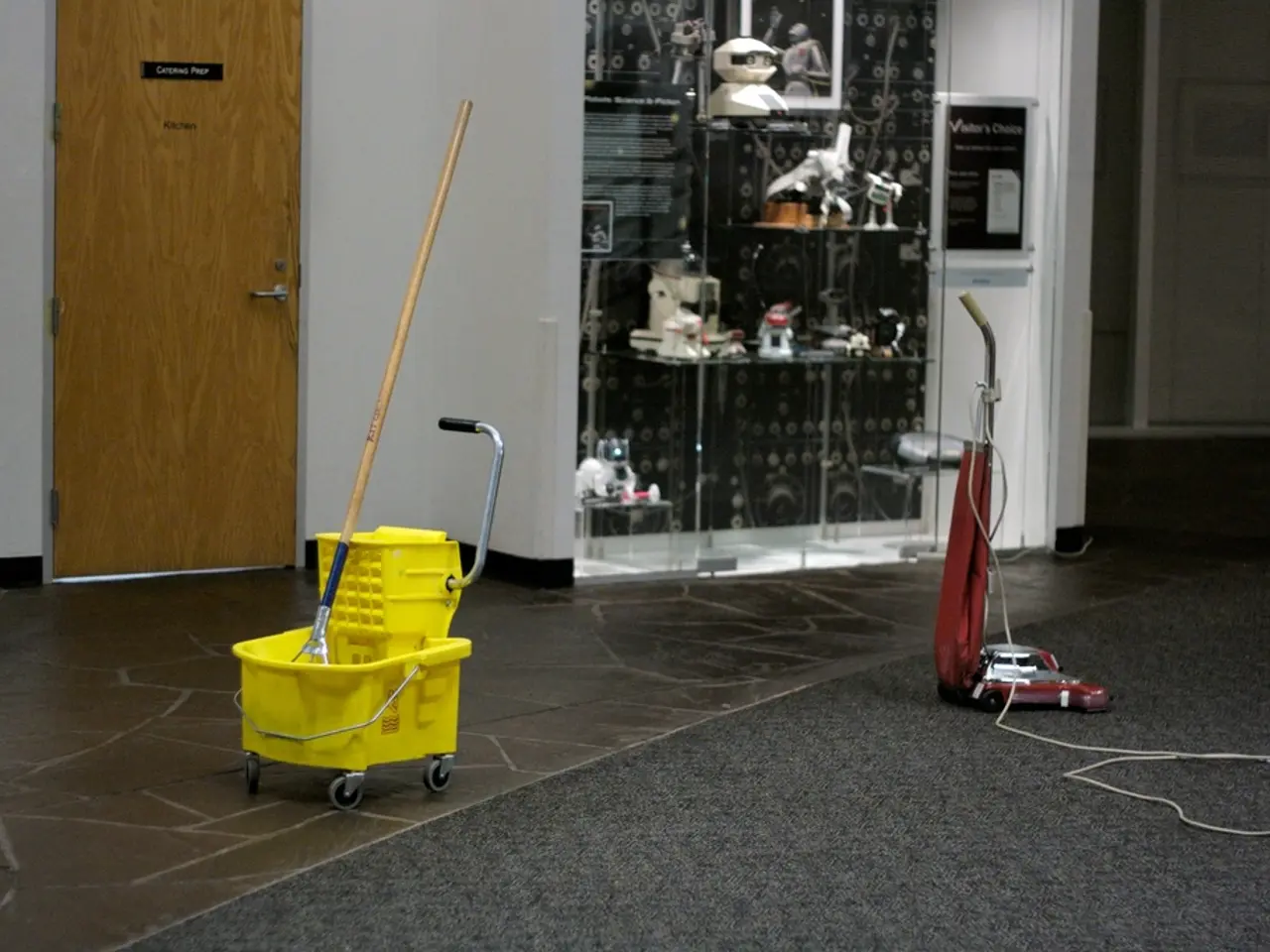 Learned to effectively utilize a mop from a professional cleaner's tutorial, discovering it's far...