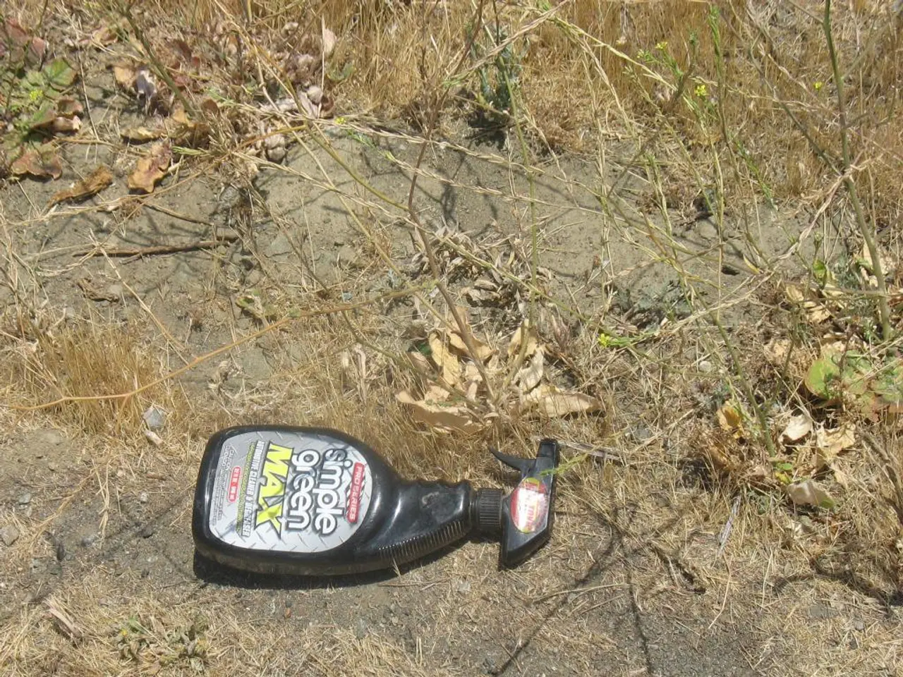 Assessment of Lawn Doctor Services