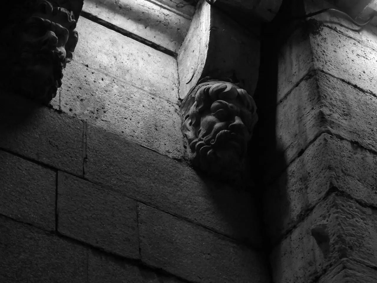 Home renovation finishing techniques and plaster types to be familiarized with for a successful...