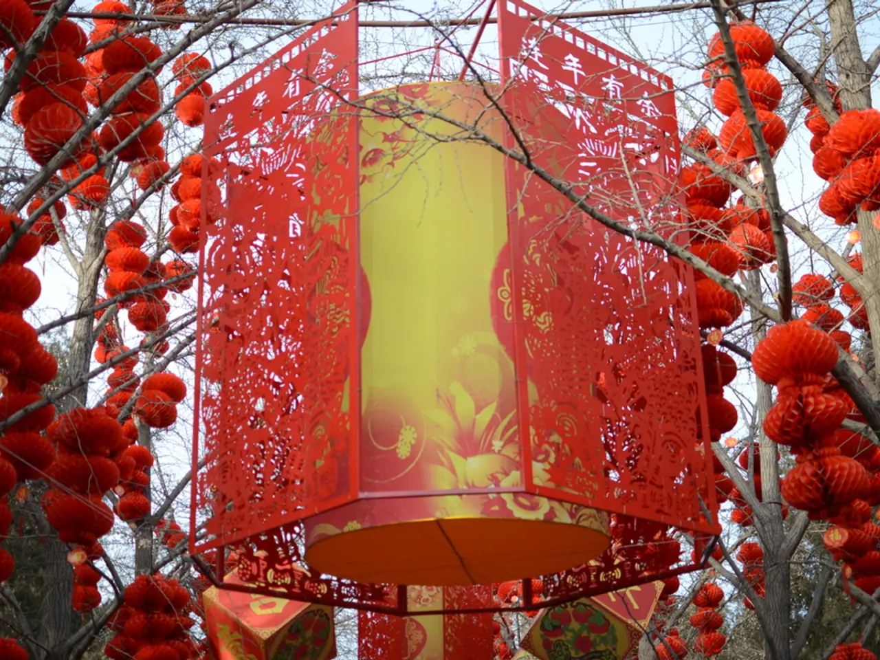 Eliminating Chinese Lantern Weeds: A Guide on Removing Chinese Lantern Shrubs