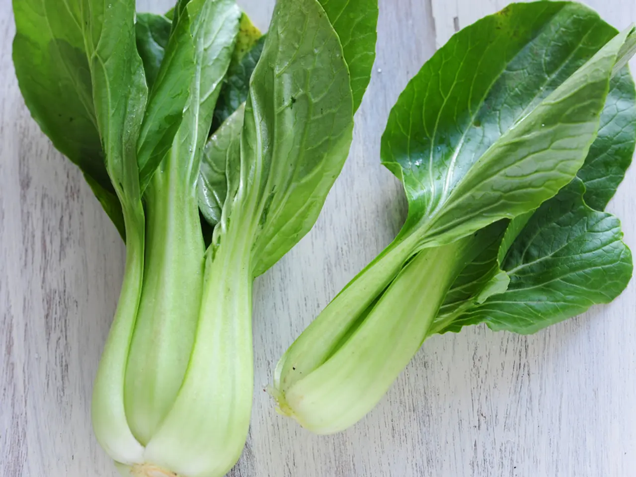 Adding Vibrant, Leafy Plants to Enhance Your Garden's Hue with Purple Varieties