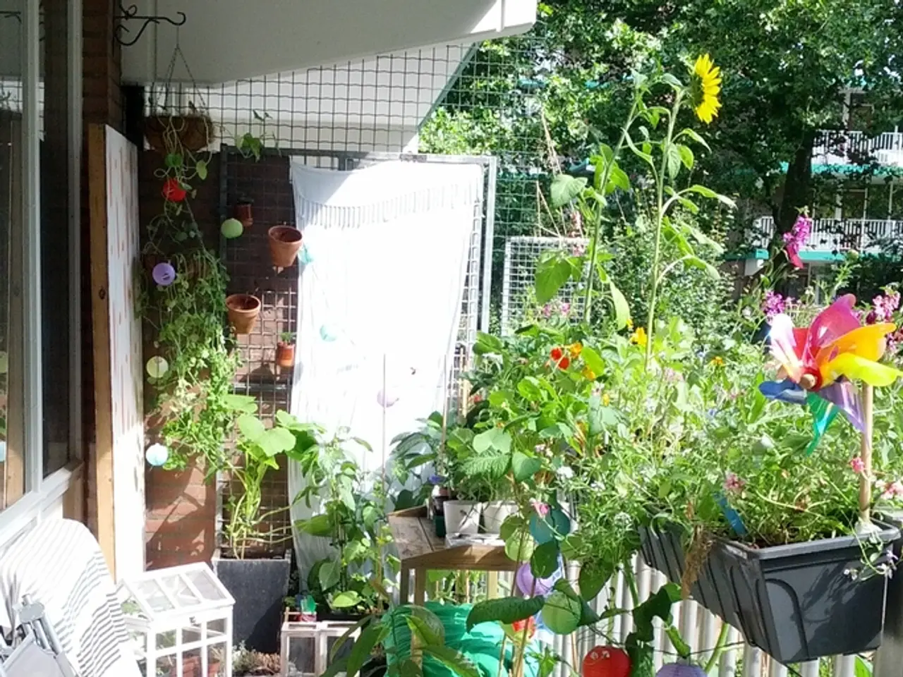 Dilapidated Cottage Undergoes Remarkable Renovation