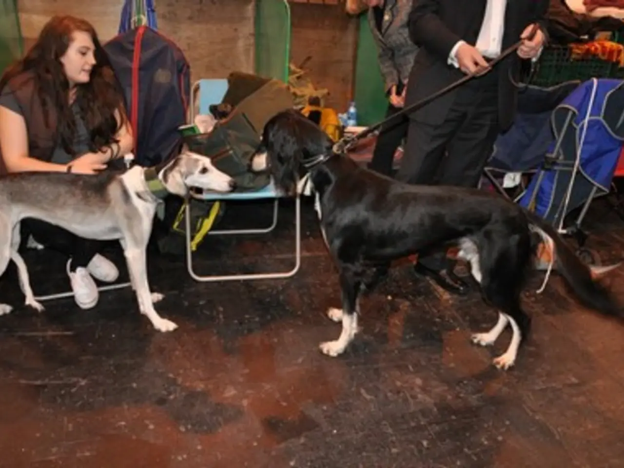 Veterinary Telephone Operator Roles - Enhanced Care, Increased Client Loyalty