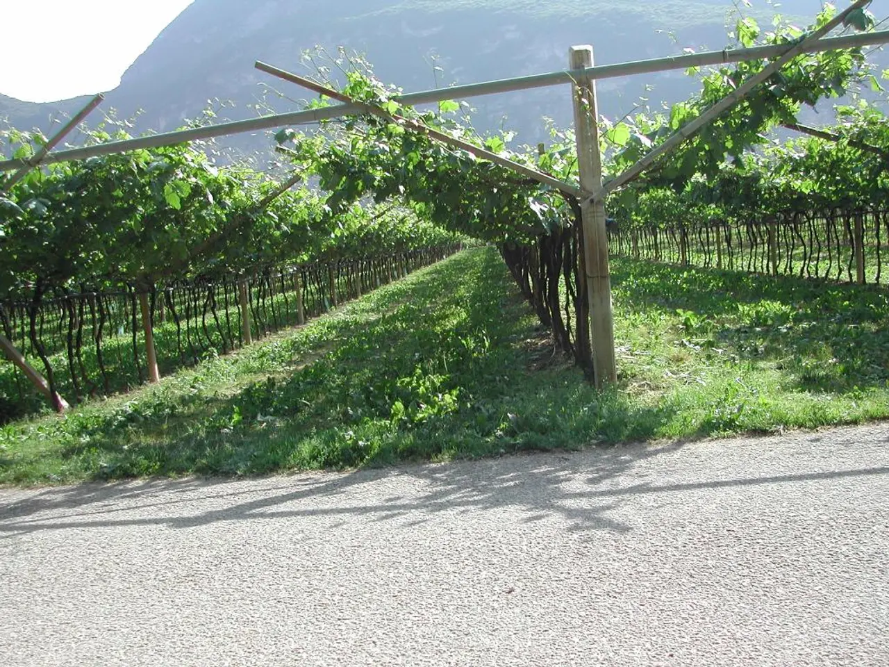 Explored Mount Taranaki's peak trail yet?