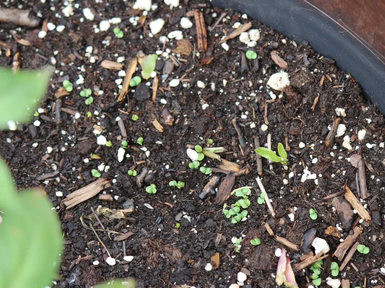 Roots Deepened: Embracing the Earth's Core