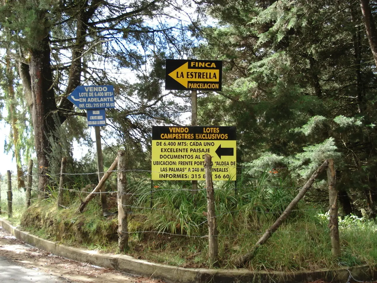 In this image I can see trees on a road with fencing and some sign boards.