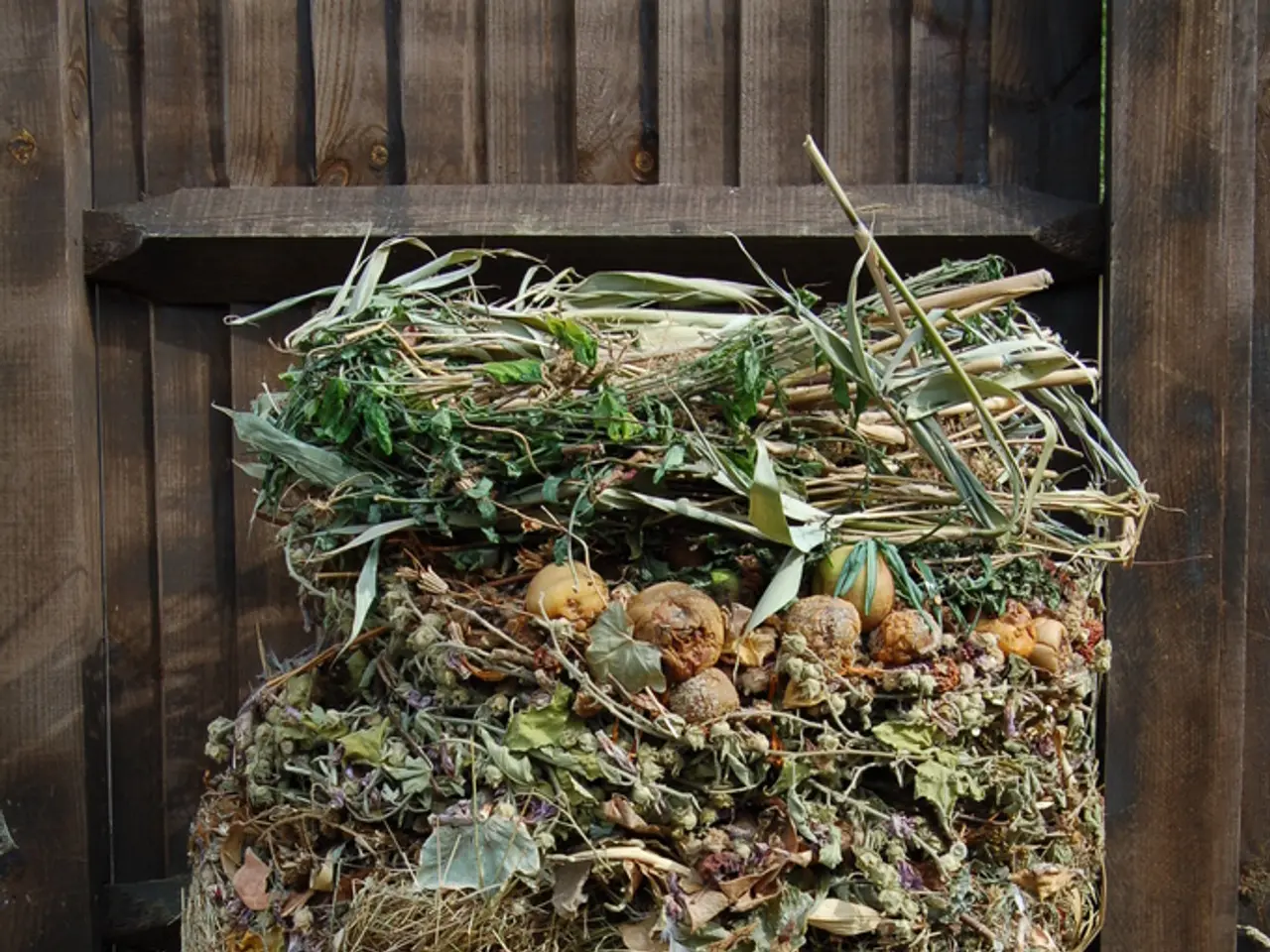 In this image I can see there is some garbage fruits and grass which looks like hay in front of...