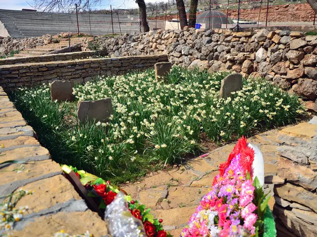 Mastering Lilac Bush Transplantation: Expert Advice for a Flourishing Transplant