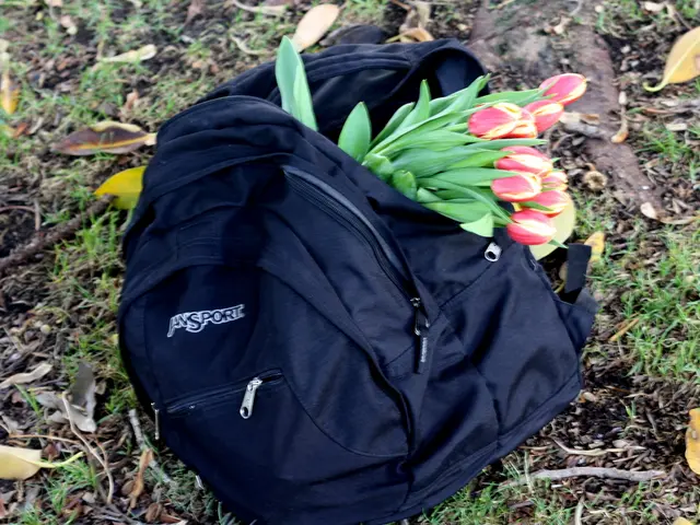 Strategies for Spring Mulching: Guarding Your Plants and Preserving Moisture Levels