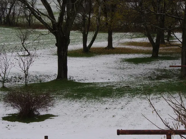 Top-Ranked Pea Varieties to Cultivate at Home