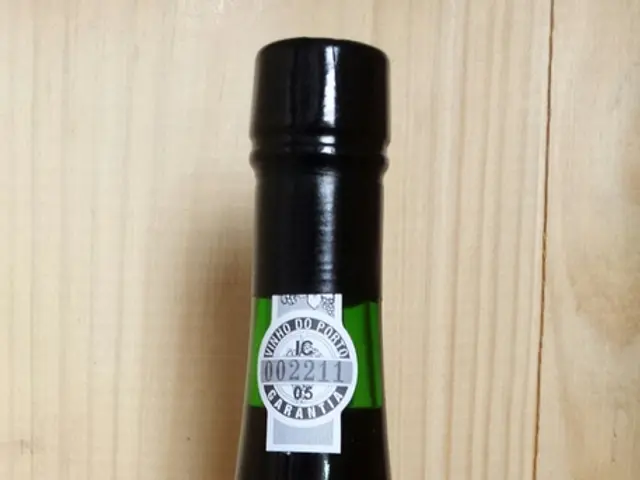 Brewing Beer without Hops: Their Role and Significance