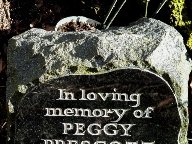 Jade Plant Soil Requirements: Essential Information Revealed