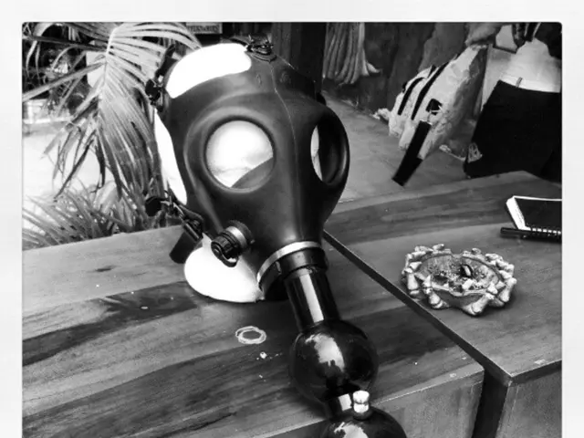 Creating a Terrarium Table: Comprehensive Guide with Essential Info