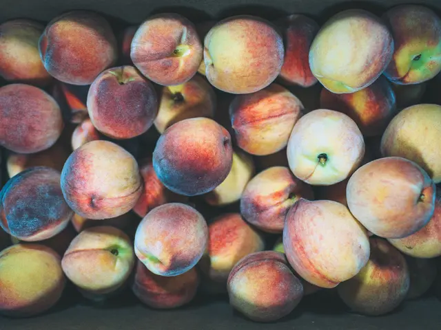 Guide on Using 16-16-16 Fertilizer: Practical Applications