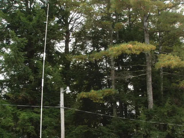 Refurbishing my caravan's kitchen cabinets: A DIY Guide