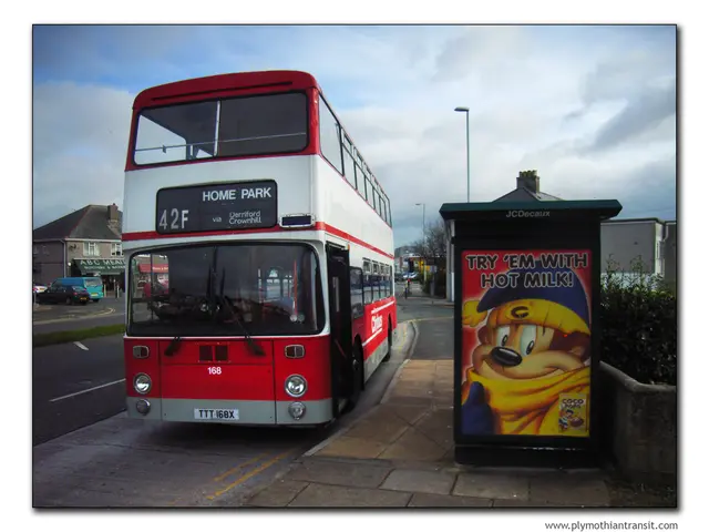 Celebrating Artistic Trash Cans Amid Bremen's Gray Melancholy: Introducing Cat Litter 2.0