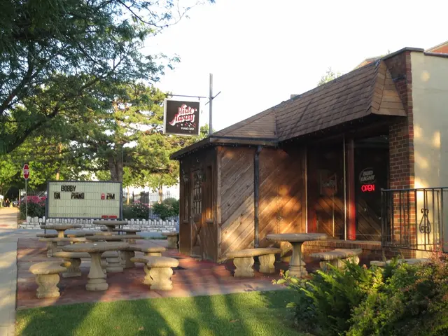 Comprehensive Guide on Initiating a School Garden: Essential Steps Explained