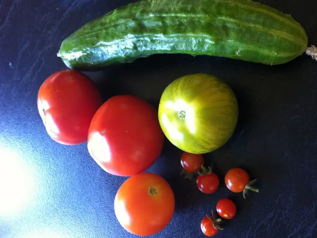 Seasonal Produce for August with Monty: Fresh Fruits and Vegetables to Enjoy