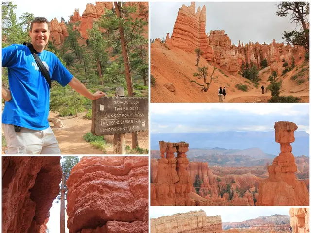 Over a century of Varela Pècurto: Portuguese photographer renowned for distinctive Coimbra...