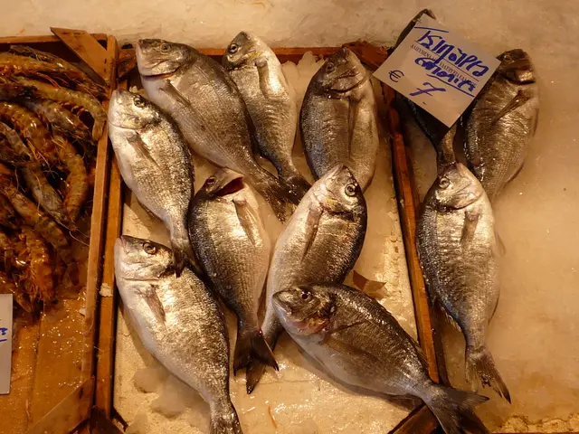 Harmonious Coexistence in the Aquarium: Generating Harmony Among Shrimp and Their Tank Mates