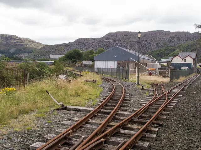 Mentioning of the Brown Bear to Bürgerbahnhof Plagwitz: A triumph for wildlife species preservation