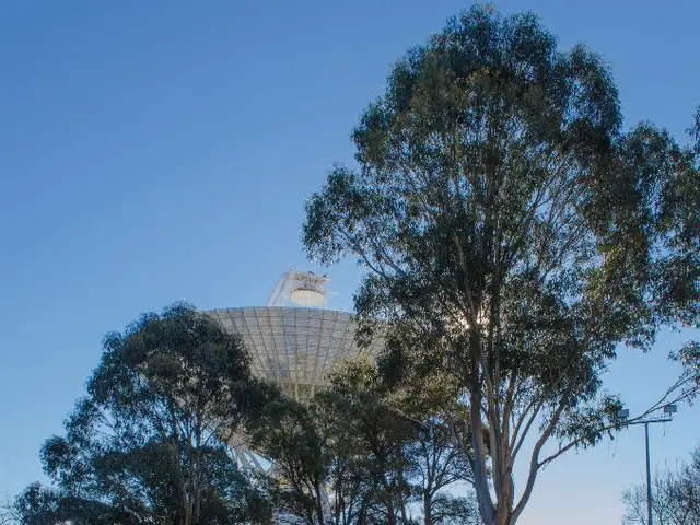 Discover Affordable Solutions for a Lush Lawn during Amazon Prime Day Sales - We've Sifted Through...