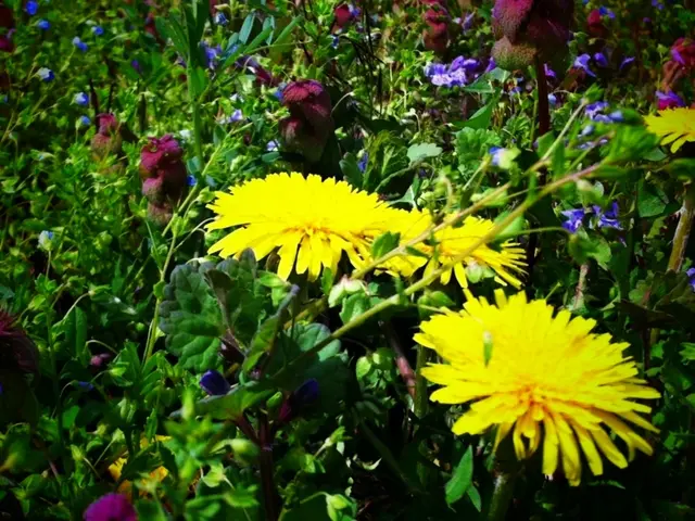 Eight Pothos plant varieties, deemed essential for every plant enthusiast's collection.