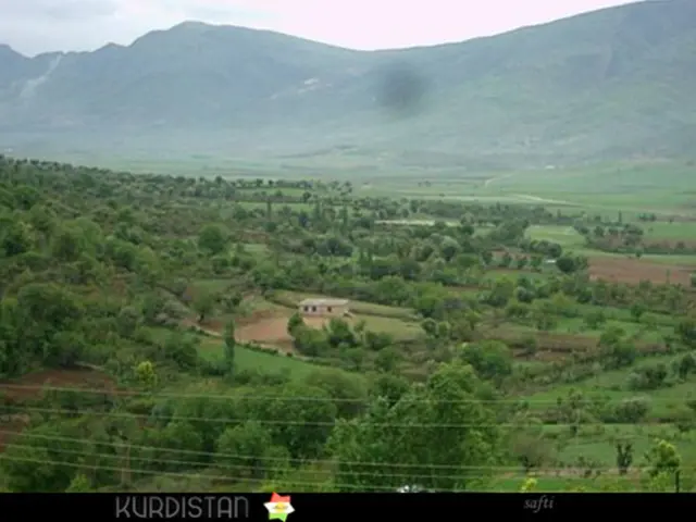 AMC appoints Nicole Zussman as the new president and chief executive officer