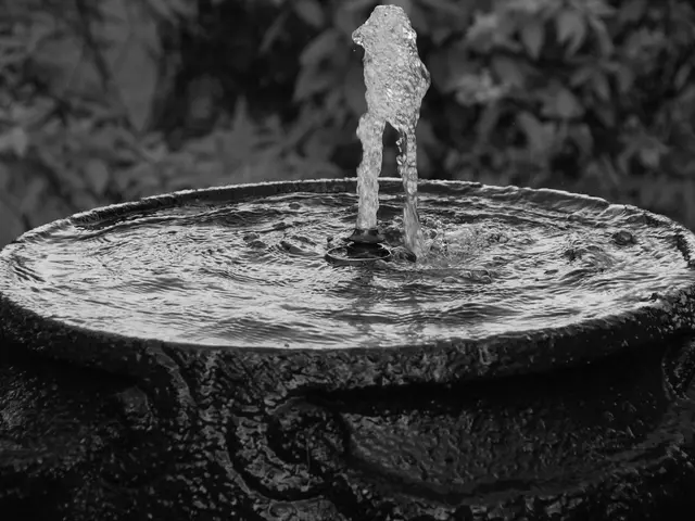 Efficient Irrigation Method: Drip irrigation system explained