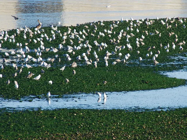 Suffolk Coastal Reservoir Updates - October Edition