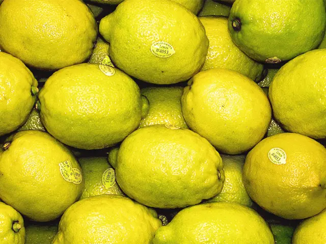 Vibrant Lemon Trees: Invigorating Greenery for Your Yard