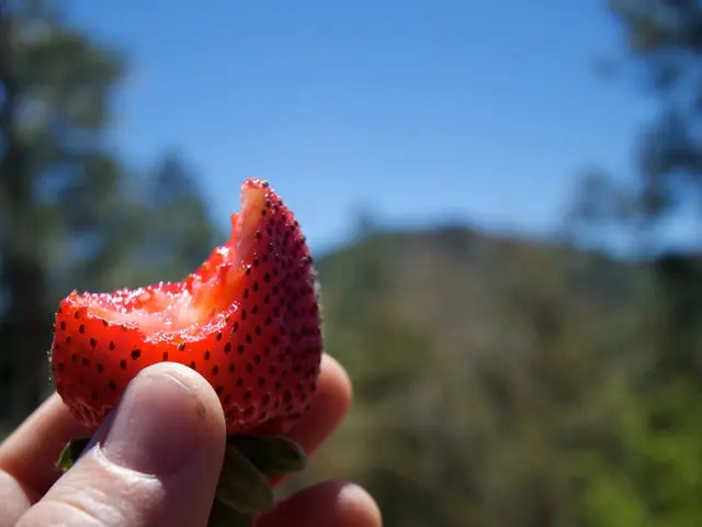 Disgruntled Farmer in Braunschweig Expresses Dissatisfaction: "Not Enjoying Myself"