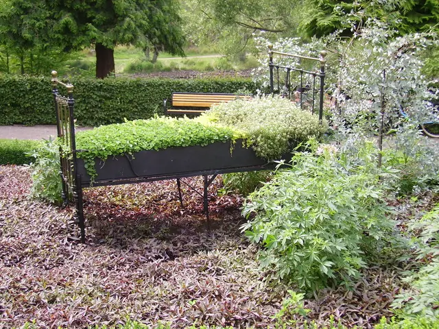 Top 10 Trellis-Friendly Plants to Enhance Your Garden's Appearance