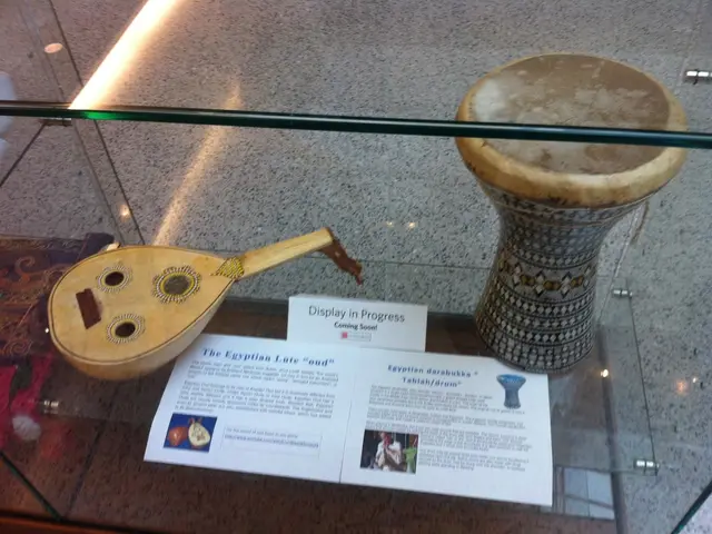 Guidelines for Gathering Vinyl Records