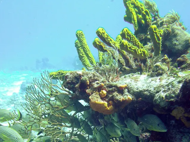 Article from Volume 30, Issue 2 Editorial