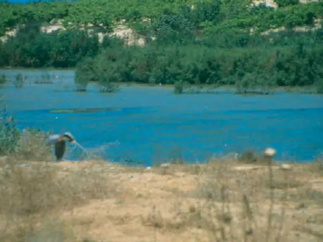 Soil and Vegetation Safeguard the Natural World